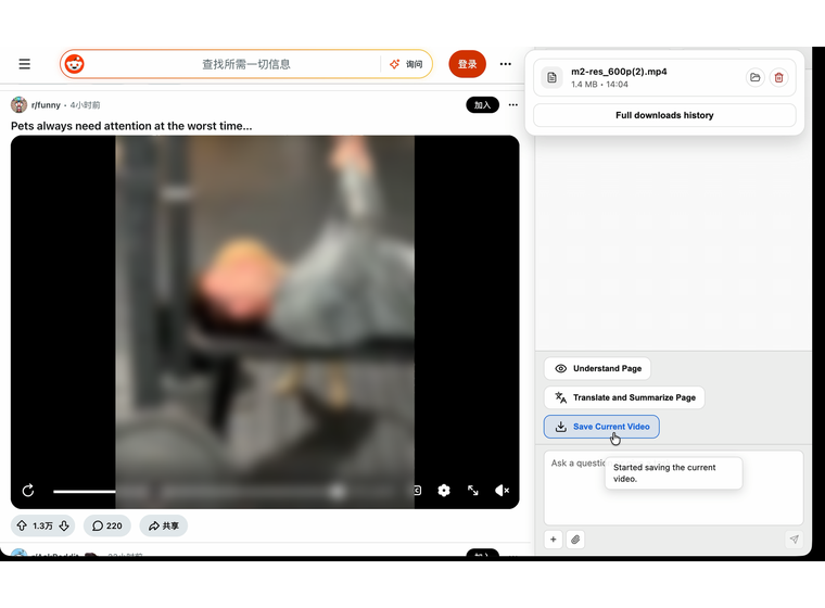 Completed Reddit video download in Aye's download record