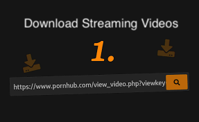 How to download video files from Pornhub?